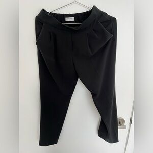 Aritzia Babaton Pants